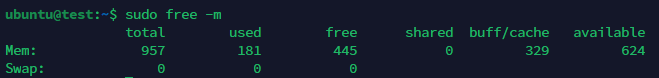 Check swap memory